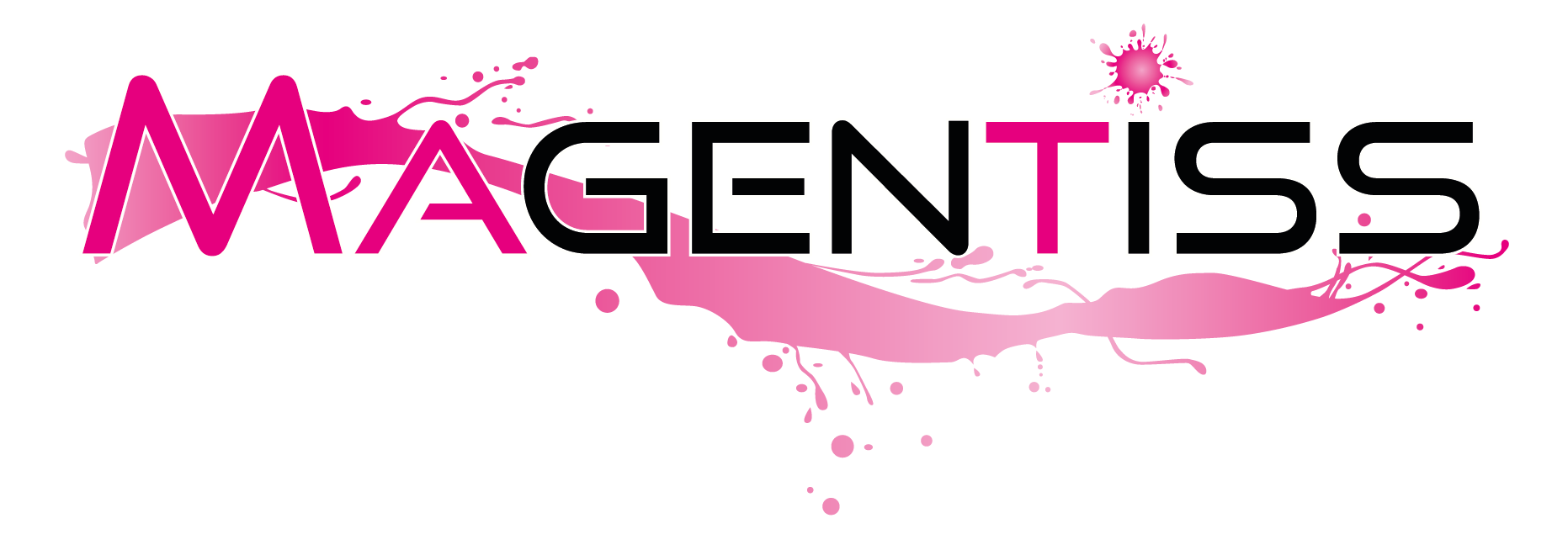 Logo Magentiss