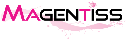 magentiss.fr logo v2